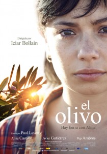 El olivo