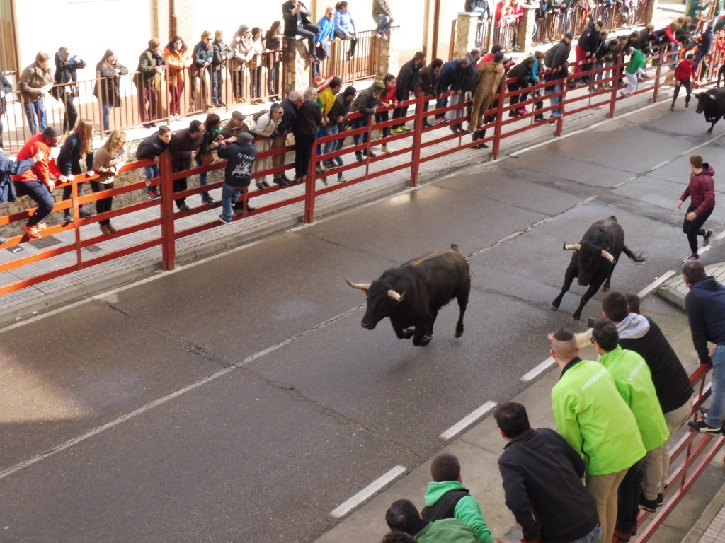 aEncierrolunes (13)