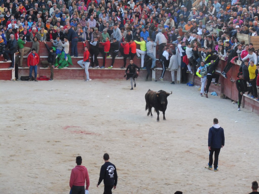 zTARDE DE SÁBADO DE CARNAVAL (58)